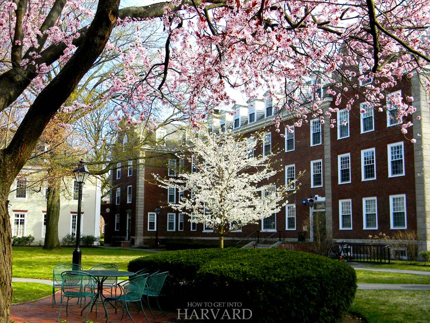 harvard campus tour