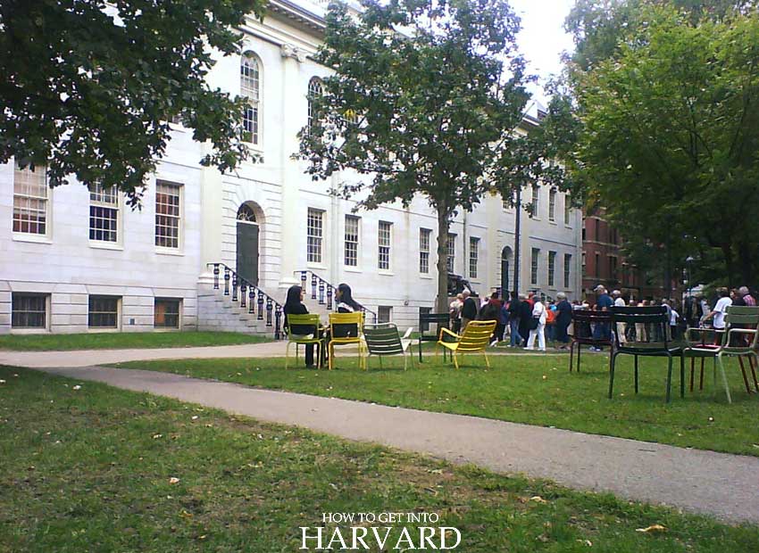 Gallery of Harvard GSD Students and Alumni Launch Design Yard Sale
